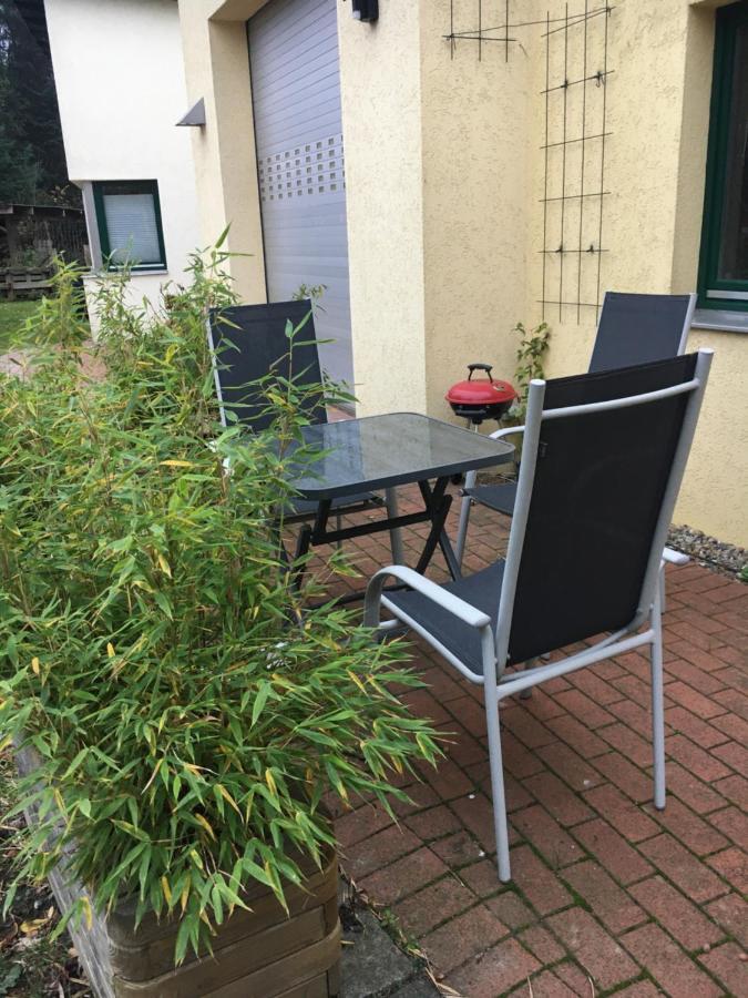 Apartment Reetblick